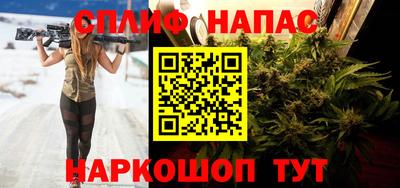 Альфа ПВП Гатчина