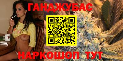 Альфа ПВП Гатчина