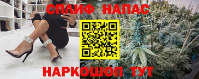 Альфа ПВП Гатчина